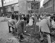 855310 Afbeelding van een delegatie uit de stad Hannover, die een boom plant op de Neude bij de Vinkenburgstraat te ...